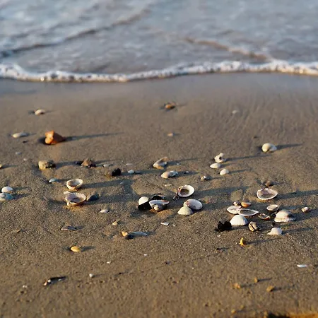 Discover Your Seaside Escape In *